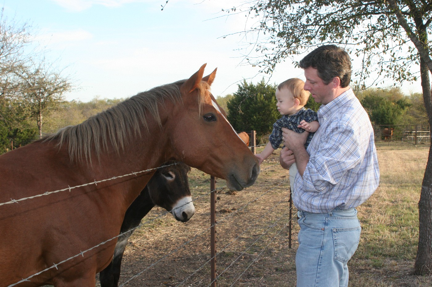 me, daddy and horse